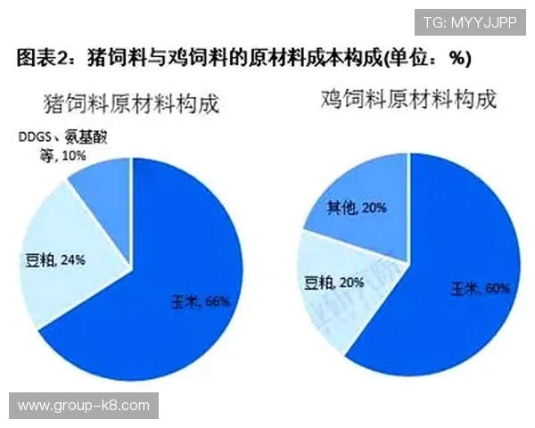 vsport体育在运动行业中的地位与未来发展趋势全面分析